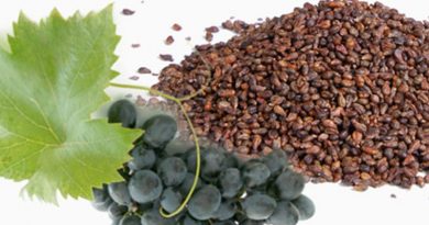 Üzüm Çekirdeğinin Faydaları Üzüm Çekirdeğinin Faydaları